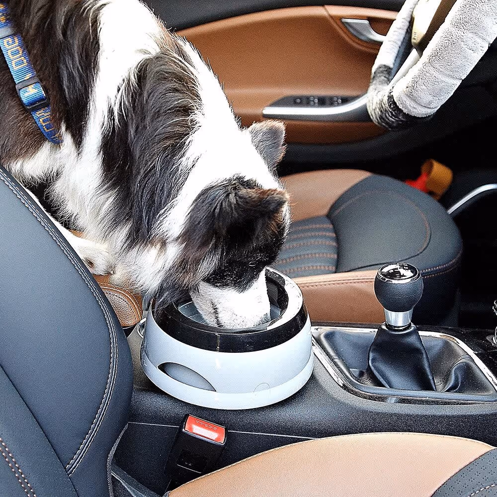 Spill Free Water Bowl